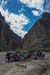 big bend np-43